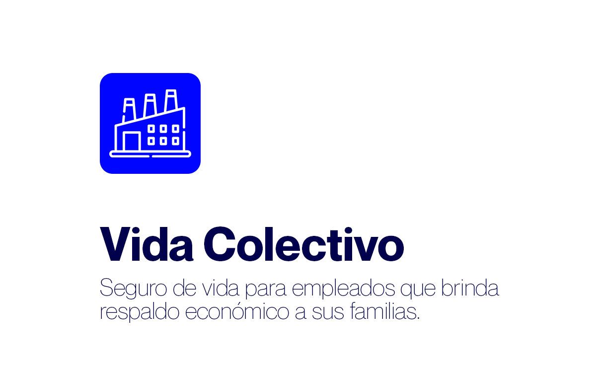 Vida Colectivo