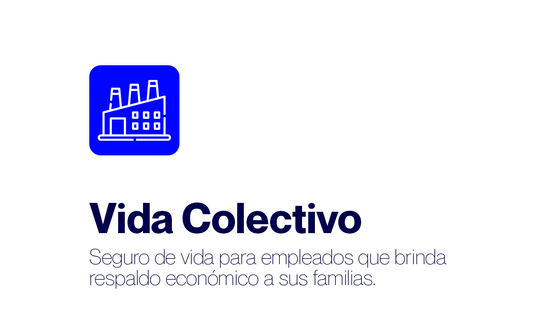 Vida Colectivo